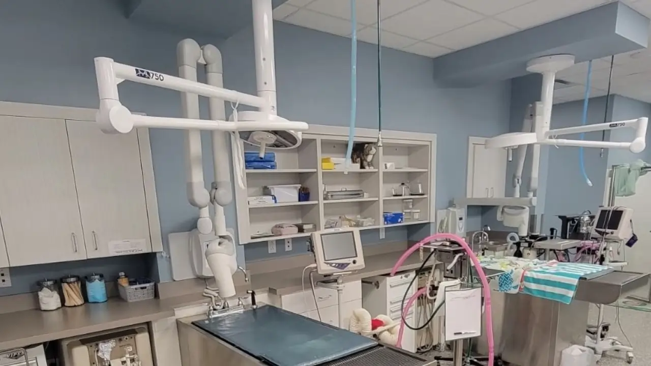 Commercial Painting in Isle of Palms SC