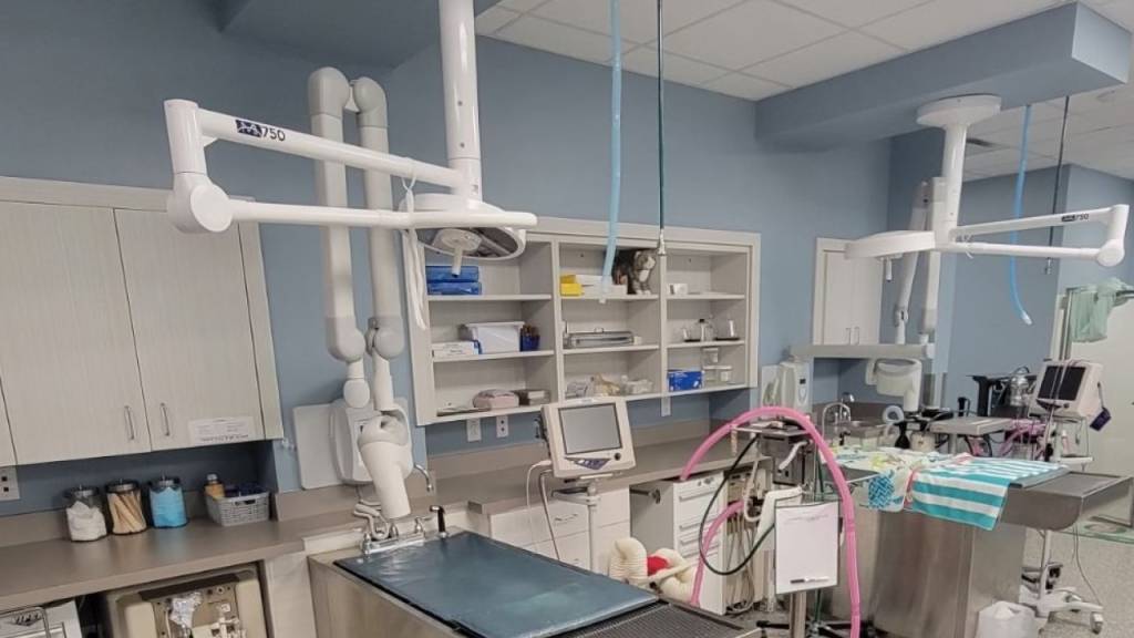 Mt Pleasant Humidity: Why Your Paint Job Fails & How to Fix It